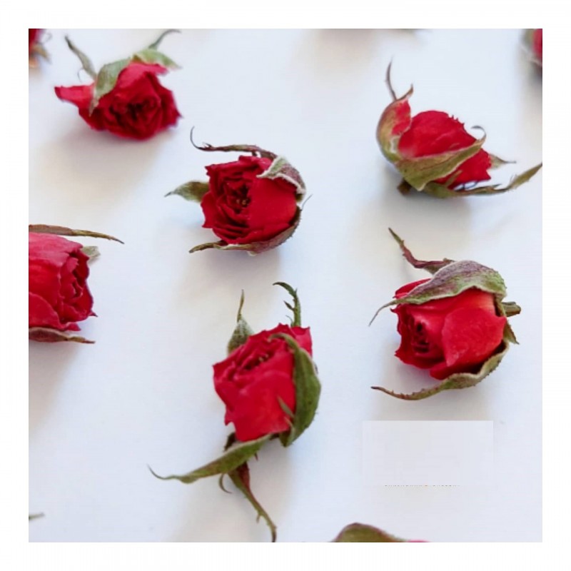 گل خشک غنچه ساناز (بسته ۲۰ عددی)