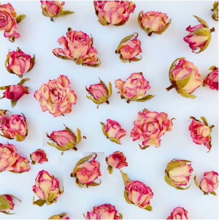 گل خشک غنچه لب ماتیکی(۲۰ عددی)