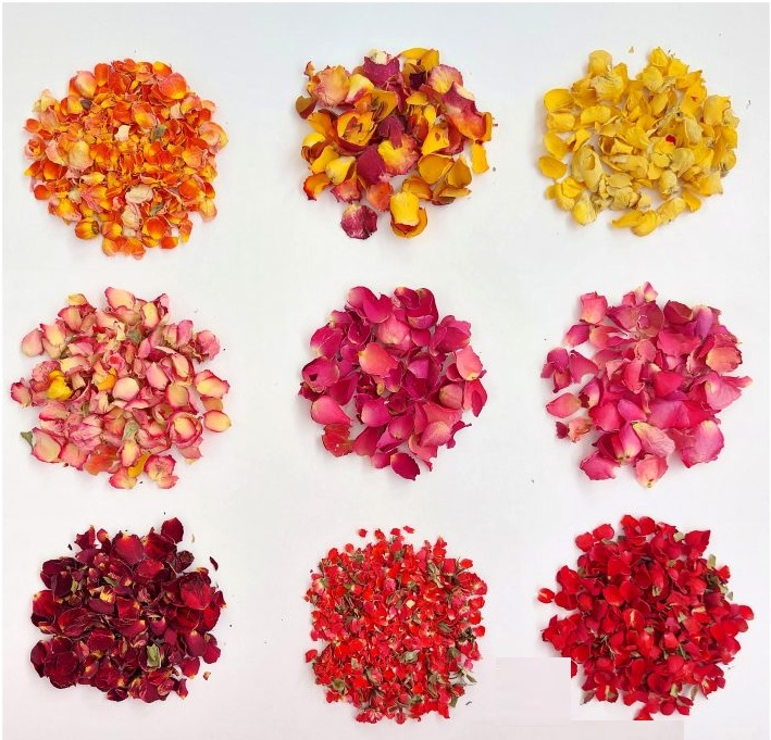 پک گلبرگ خشک رز چند رنگ