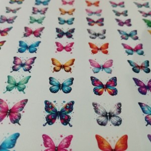 طلق رزین طرح پروانه رنگی