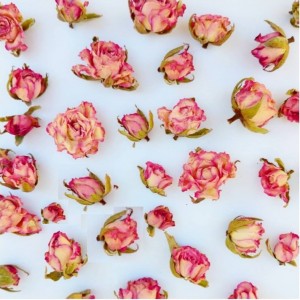 گل خشک غنچه لب ماتیکی(۲۰ عددی)