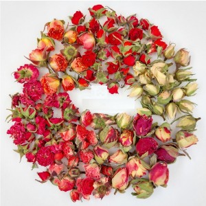 خرید پک غنچه رز و ساناز (بسته 100 عددی)