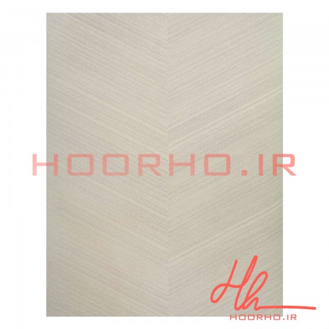 کاغذ دیواری پلاستر آلبوم  ویژن  کد 700019