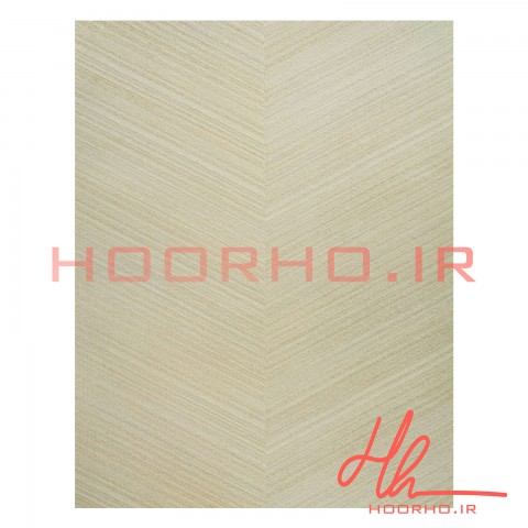 کاغذ دیواری پلاستر آلبوم  ویژن  کد 700023