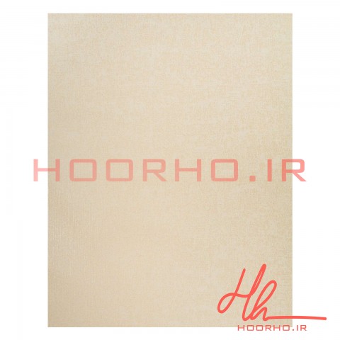 کاغذ دیواری پلاستر آلبوم  ویژن  کد 700049