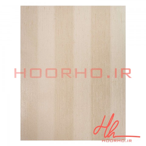 کاغذ دیواری پلاستر آلبوم  ویژن  کد 700056