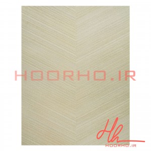 کاغذ دیواری پلاستر آلبوم  ویژن  کد 700023