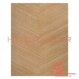 کاغذ دیواری پلاستر آلبوم  ویژن  کد 700025