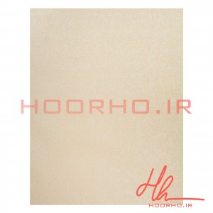 کاغذ دیواری پلاستر آلبوم  ویژن  کد 700049