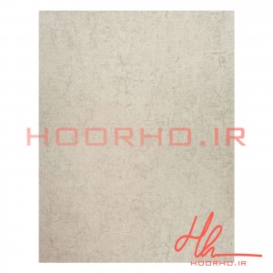 کاغذ دیواری پلاستر آلبوم  ویژن  کد 700072