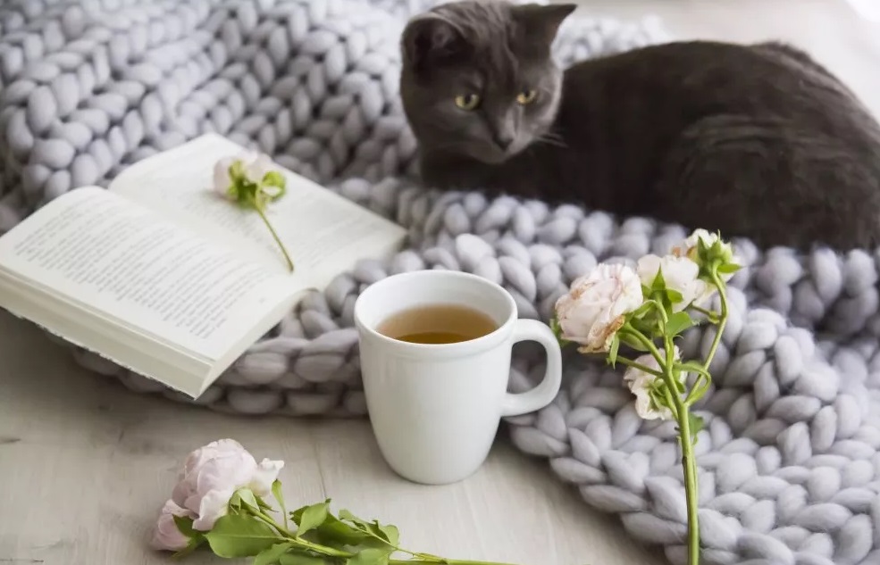 آیا رایحه خاصی برای اضطراب وجود دارد؟