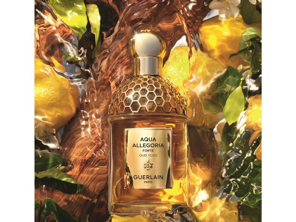عرضه جدیدترین عطر آکوا الگوریا فورته عود یوزو گرلن به بازار از برند گرلن