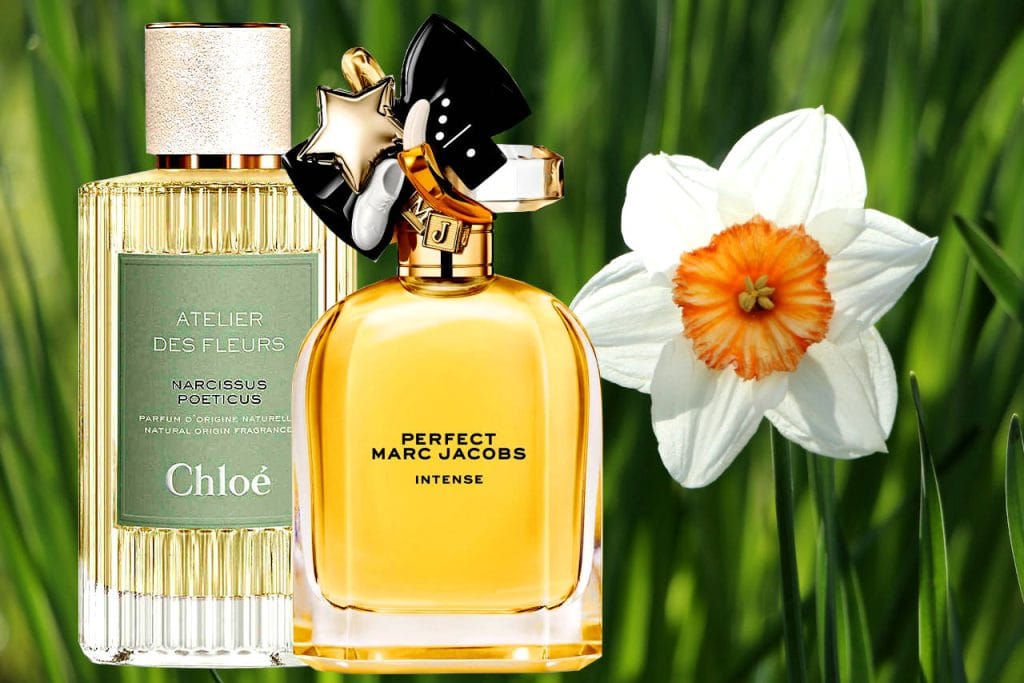معرفی بهترین عطرهای گل نرگس