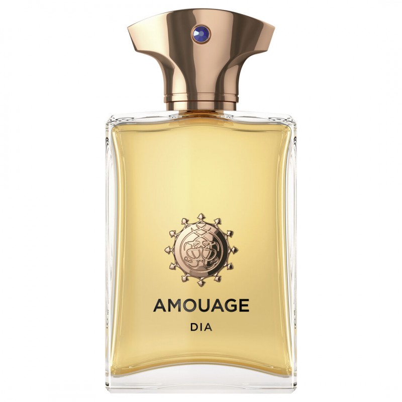 عطر دیا پور هوم آمواج - Dia Man Amouage for men