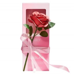 رژگونه گل رز شیگلم – SHEGLAM