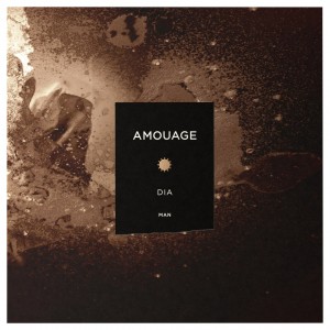 عطر دیا پور هوم آمواج - Dia Man Amouage for men