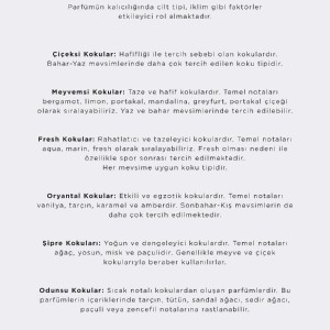 عطر مردانه دیفکتو استانبول - Defacto istanbul  حجم 100 میلی لیتر