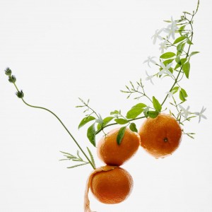 عطر گلدن دیکید زارا GOLDEN DECADE EDP 50ML