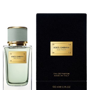 عطر ولوت اینفیوژن دولچه اند گابانا - Velvet Infusion Dolce & Gabbana