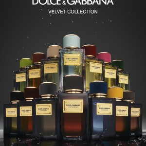 عطر ولوت اینفیوژن دولچه اند گابانا - Velvet Infusion Dolce & Gabbana
