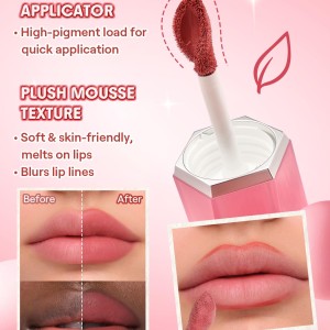 کرم لب و رژگونه مخملی شیگلم – Air Plush Lip & Cheek Cream-High Winds