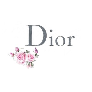 Original New Dior Gift Set 4in1 +