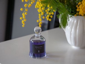 چگونه یک عطر مناسب را پیدا کنید؟