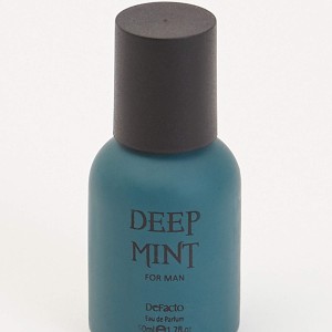 عطر مردانه گرین دیپ منت 50 میلی لیتر - Defecto Deep mint