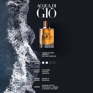 اورجینال باکس اكوا جيو ابسولوت از برند جورجیو آرمانی - Acqua Di Gio Absolu Eau de Parfum For Men