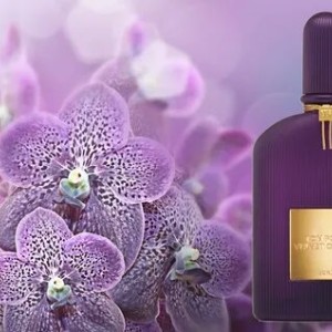 اورجینال باکس عطر  تام فورد ولوت ارکید لومیر Velvet Orchid Lumiere حجم 100 میلی لیتر