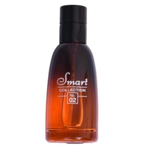 ادکلن دیور فارنهایت اسمارت کالکشن 25 میل - Smart Collection 02 Fahrenheit 25 ml