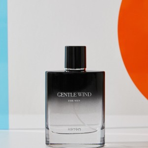 عطر مردانه کوتون جنتیل ویند 100 میلی‌لیتر -  Koton Gentle Wind 100 ml