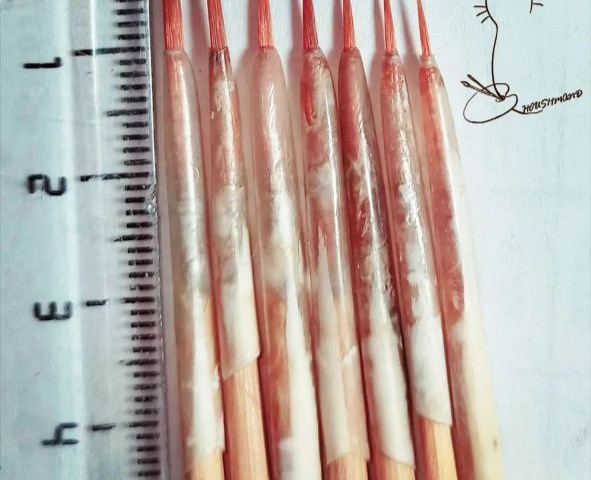 قلموی مصنوعی