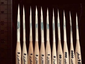 پک یازده تایی قلموی گربه