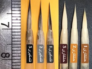 پک قلمگیری و حلکاری قلموی گربه