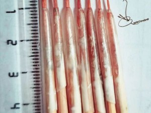 قلموی مصنوعی