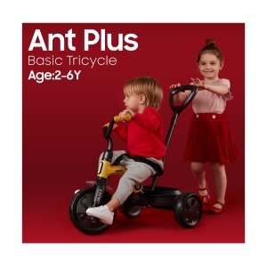 سه چرخه کودک کیوپلی Qplay مدل Ant Plus