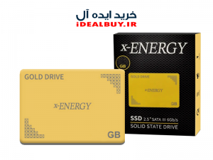 اس اس دی X-Energy GOLD 256GB