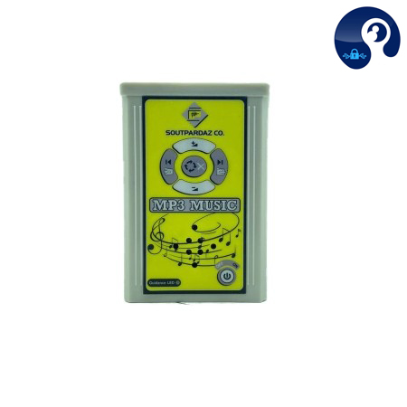 آمپلی فایر مخصوص سرویس و حمام مدل LW