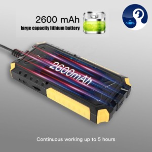 دوربین شلنگی آندوسکوپی مانیتور دار p50 دولنز