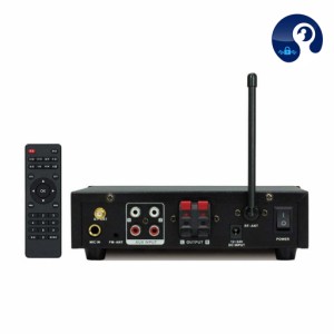 آمپلی فایر رومیزی دو کانال مدل JX3030