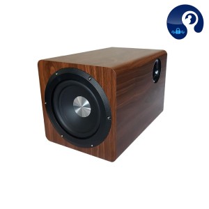 ساب ووفر active  توان 100 وات مدل d6