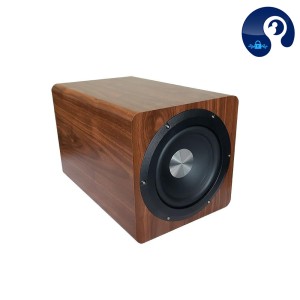 ساب ووفر active  توان 100 وات مدل d6