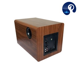 ساب ووفر active  توان 100 وات مدل d6