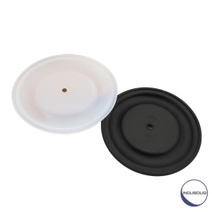 کیت دیافراگم پمپ هاسکی PTFE 2150