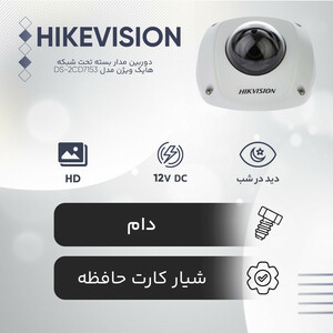 دوربین مداربسته دام  تحت شبکه هایک ویژن مدل DS-2CD7153-E