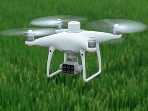 کوادکوپتر کشاورزی DJI Phantom 4 Multispectral