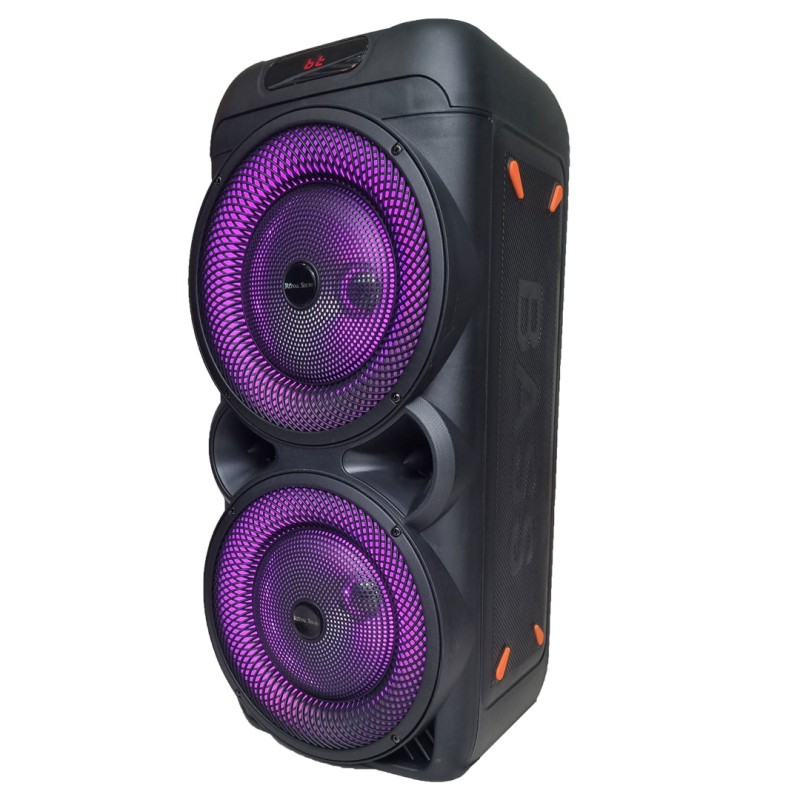 اسپیکر بزرگ GALEXBIT RSD33