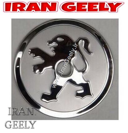 کاور استیل درب باک پژو 206/207 ( حراجی )