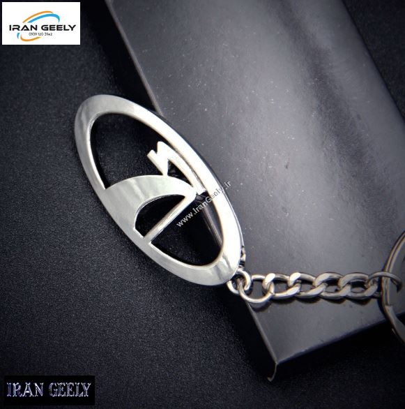 جاسوئیچی استیل DS - سیتروئن